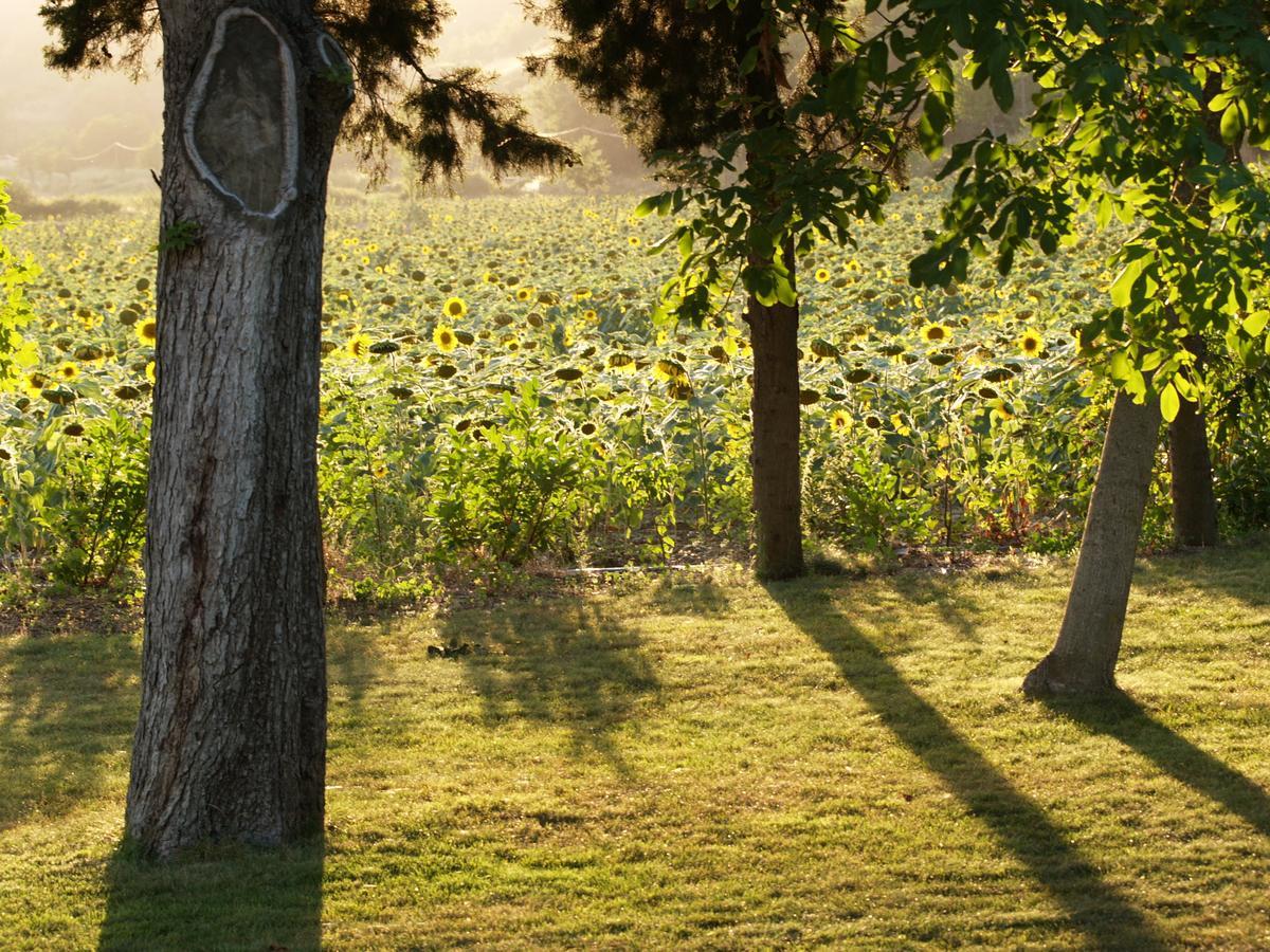 Domaine De Luzenac Bed & Breakfast Val-du-Faby Екстериор снимка