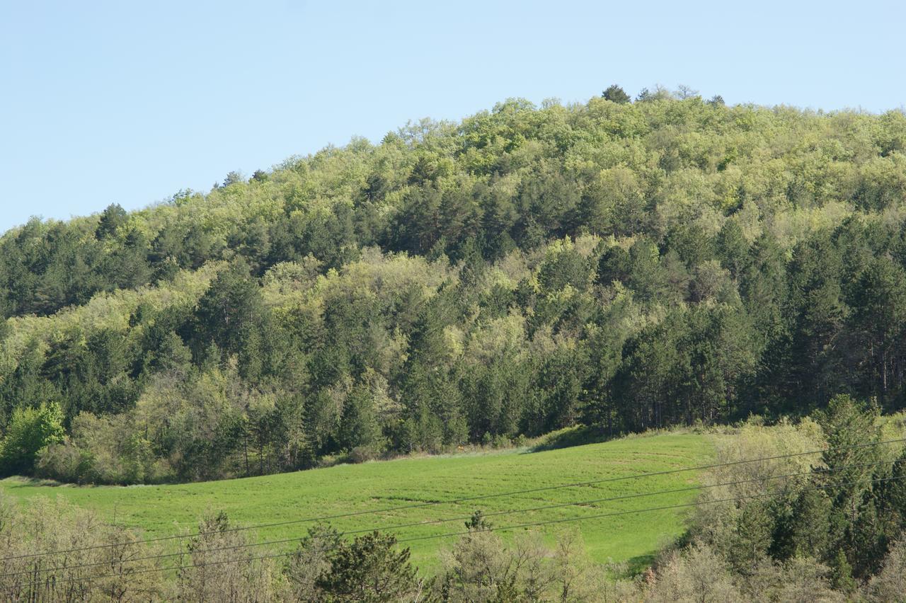 Domaine De Luzenac Bed & Breakfast Val-du-Faby Екстериор снимка