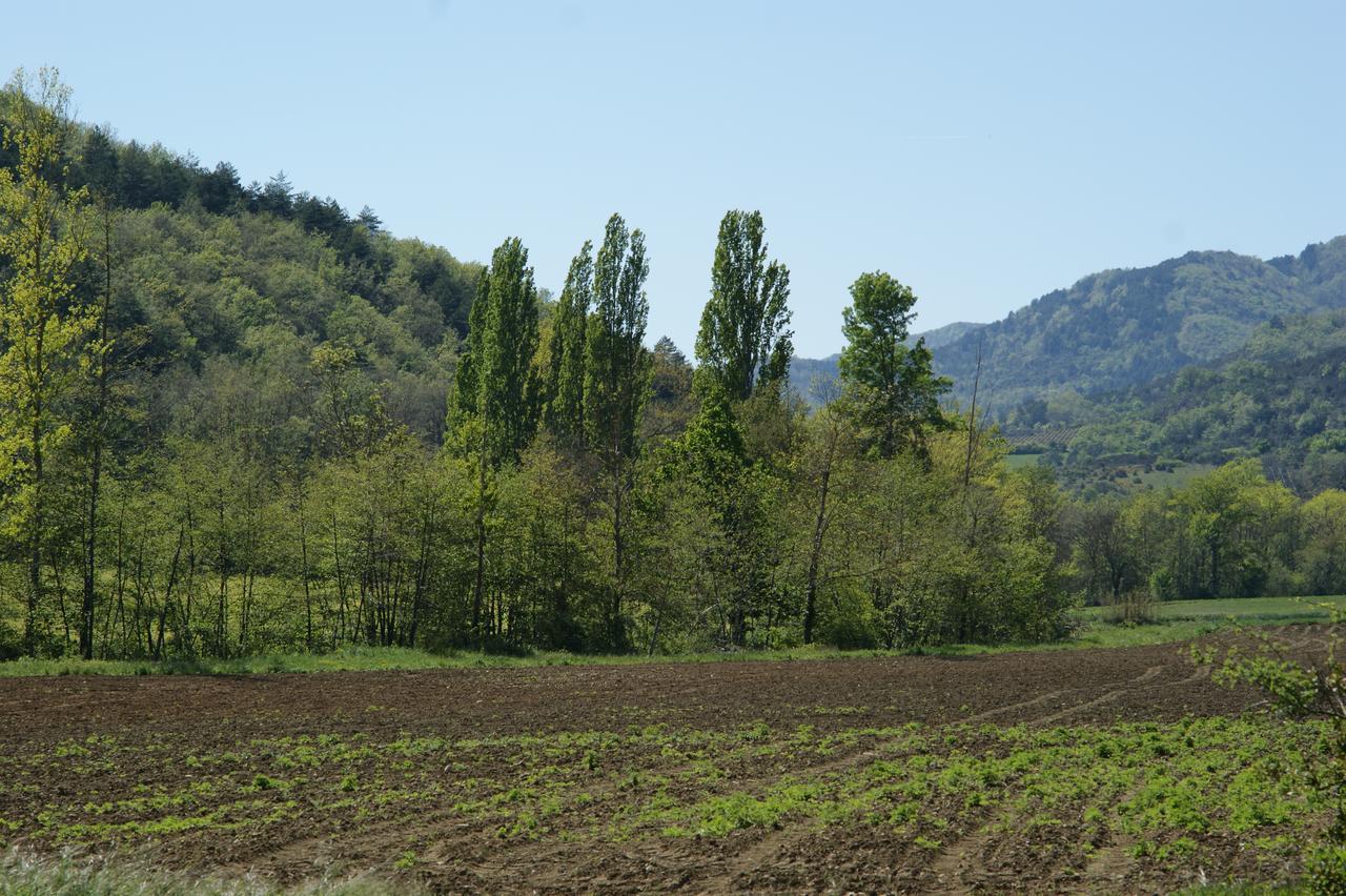 Domaine De Luzenac Bed & Breakfast Val-du-Faby Екстериор снимка